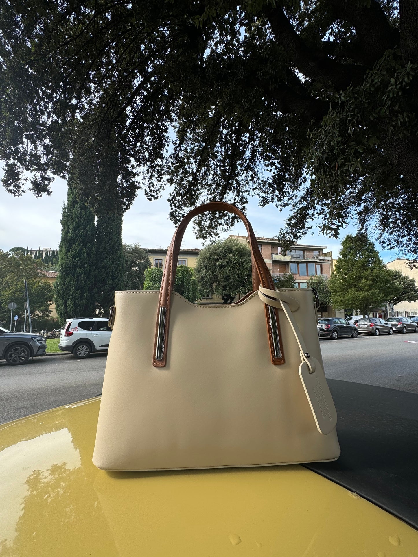 Sylvana Handbag